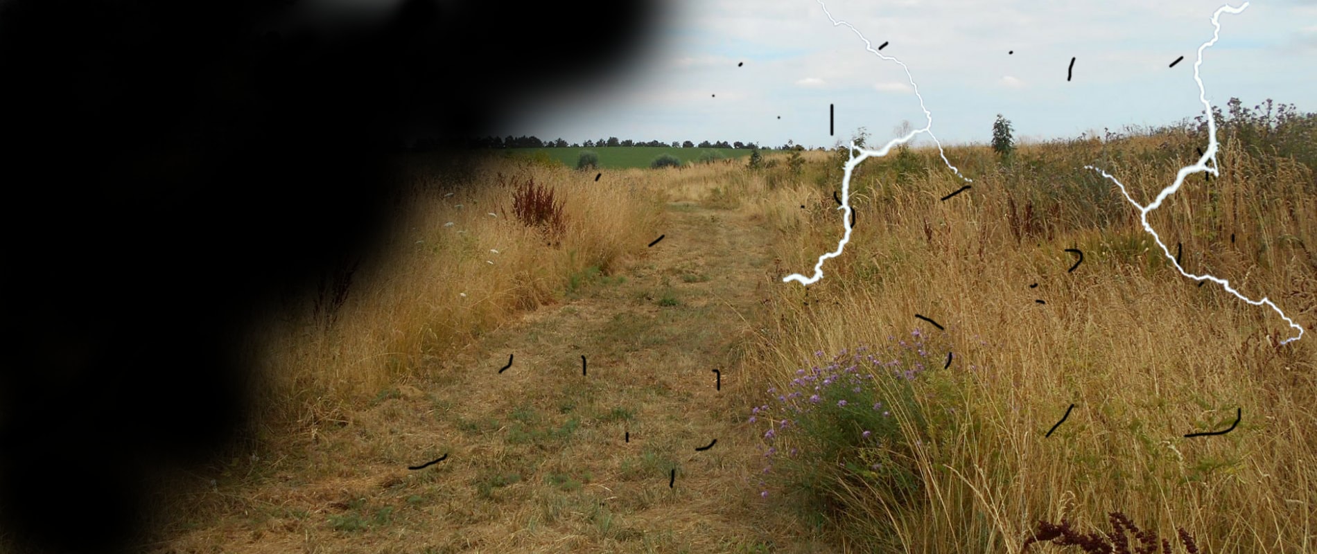 Décollement de la rétine Osiris Vision